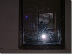 Mirror reflecting Padmini