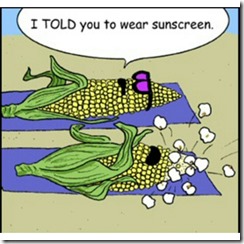 1391319_346885248825292_2056400423_n