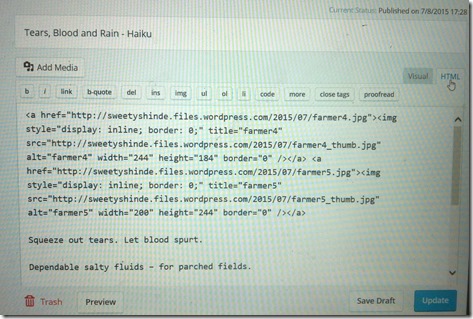 Wordpress blog edit in HTML format