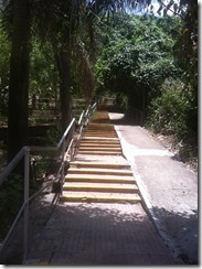 Stairs to Vipassana meditation hall